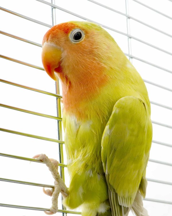 La relaxation pour les seniors : importance et techniques